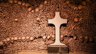 Les âges De La Vie Histoire De La Mort Trailer