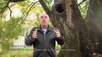 Les arbres remarquables, un patrimoine à protéger Trailer