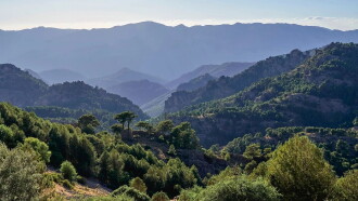 Les forêts des sommets Trailer