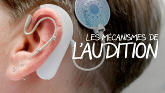 Les mécanismes de l’audition - Une ouïe très fine Trailer