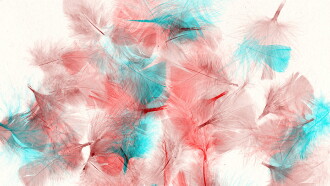 Les oiseaux Trailer
