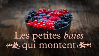 Les petites baies qui montent Trailer