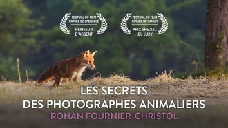 Les secrets des photographes animaliers Trailer