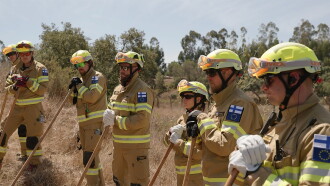 Lessons in Fire Trailer