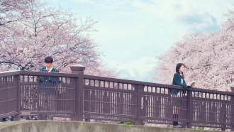 Let Me Eat Your Pancreas Trailer