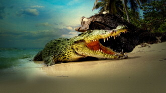 Life and Death in Paradise: Crocs of the Caribbean Trailer