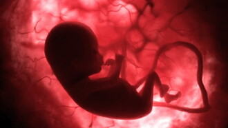 Life Before Birth Trailer