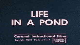 Life in a Pond Trailer