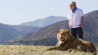 Like A Lion Trailer