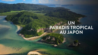 L'île Iriomote - Un paradis tropical au Japon Trailer
