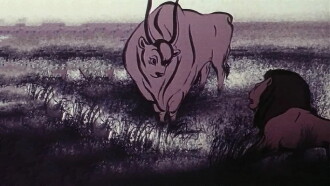 Lion and Bull Trailer