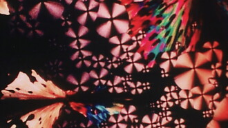 Liquid Crystals Trailer