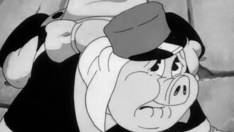 Little Beau Porky Trailer