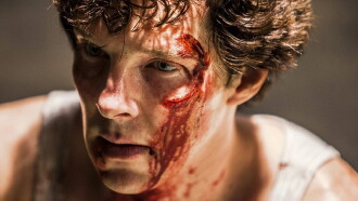 Little Favour Trailer