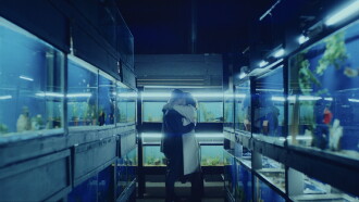 Little Fish Trailer