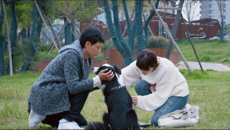 Little Love Trailer