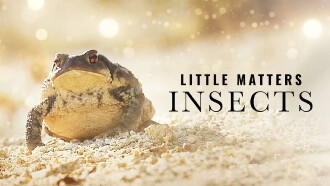 Little Matters: Insects Trailer