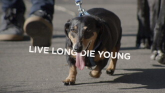 Live Long Die Young Trailer