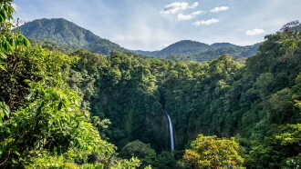 Living Landscapes: Costa Rica Trailer