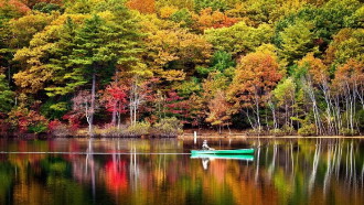 Living Landscapes: Fall In New England Trailer