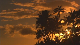 Living Landscapes: World's Most Beautiful Sunrises and Sunsets Trailer