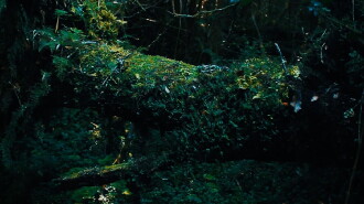 Living Nature Trailer