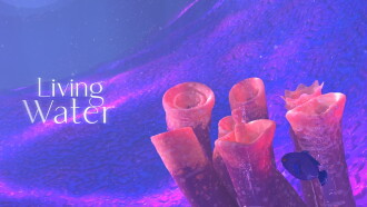 Living Water Trailer
