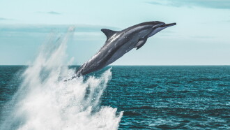 Living Waters Trailer