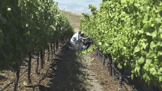 Living Wine Trailer