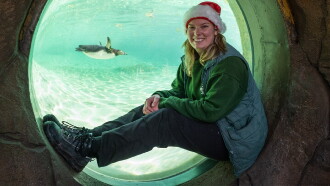 London Zoo at Christmas Trailer