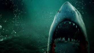 Lone Star Shark 2 Trailer