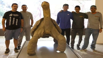 Lonesome George and the Battle for Galapagos Trailer