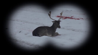 Long Live Hunting! Trailer