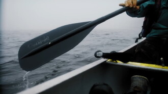 Loon Trailer