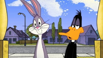 Looney Tunes - All Stars Collection Volume 5 Trailer