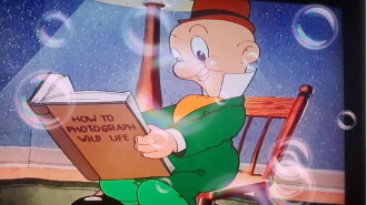 Looney Tunes Spotlight Collection: The Premiere Edition Trailer