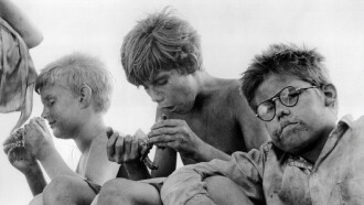 Lord of the Flies Trailer