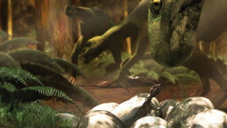 Lost Dinosaurs of New Zealand Trailer