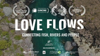 Love Flows Trailer