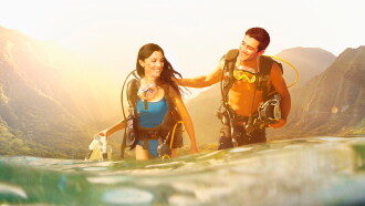 Love in Tahiti Trailer