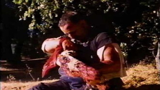 Lunch Meat Trailer