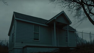 Lungs Trailer