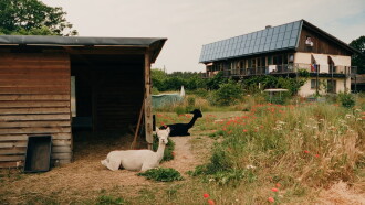 Machland Trailer