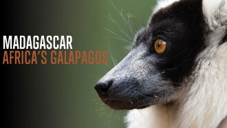 Madagascar: Africa's Galapagos Trailer