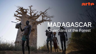 Madagascar: Guardians of the Forest Trailer