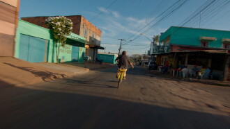 Madruga Bikes Trailer