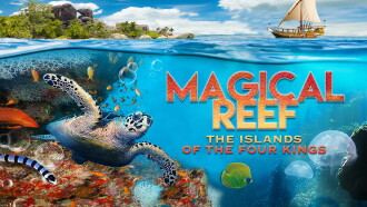 Magical Reef: The Islands of the Four Kings Trailer