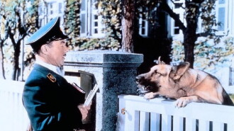 Mailman Mueller Trailer