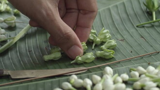 Malila: The Farewell Flower Trailer