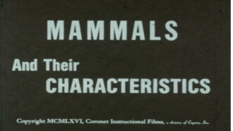 Mammals and Their Characteristics Trailer